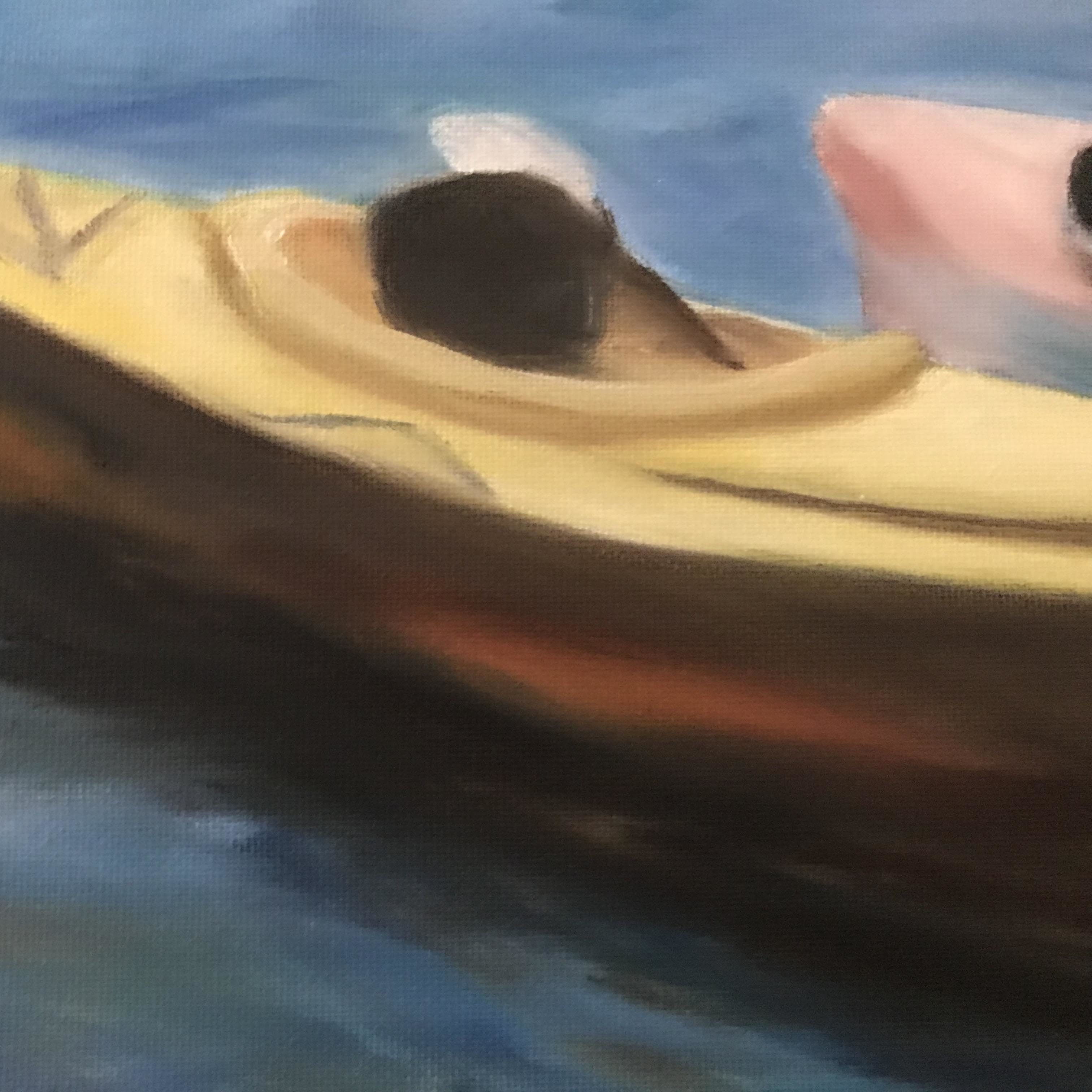 Boats on Scraggly Lake