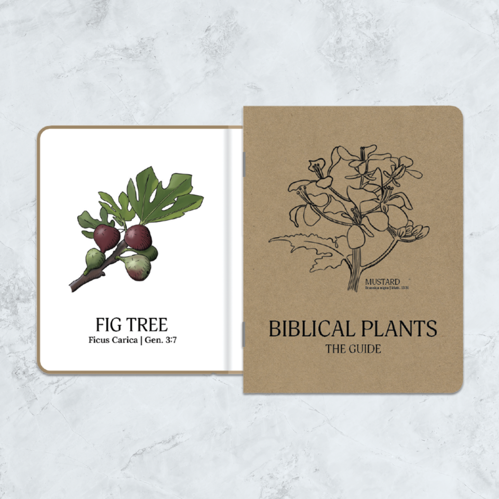 Biblical Plants