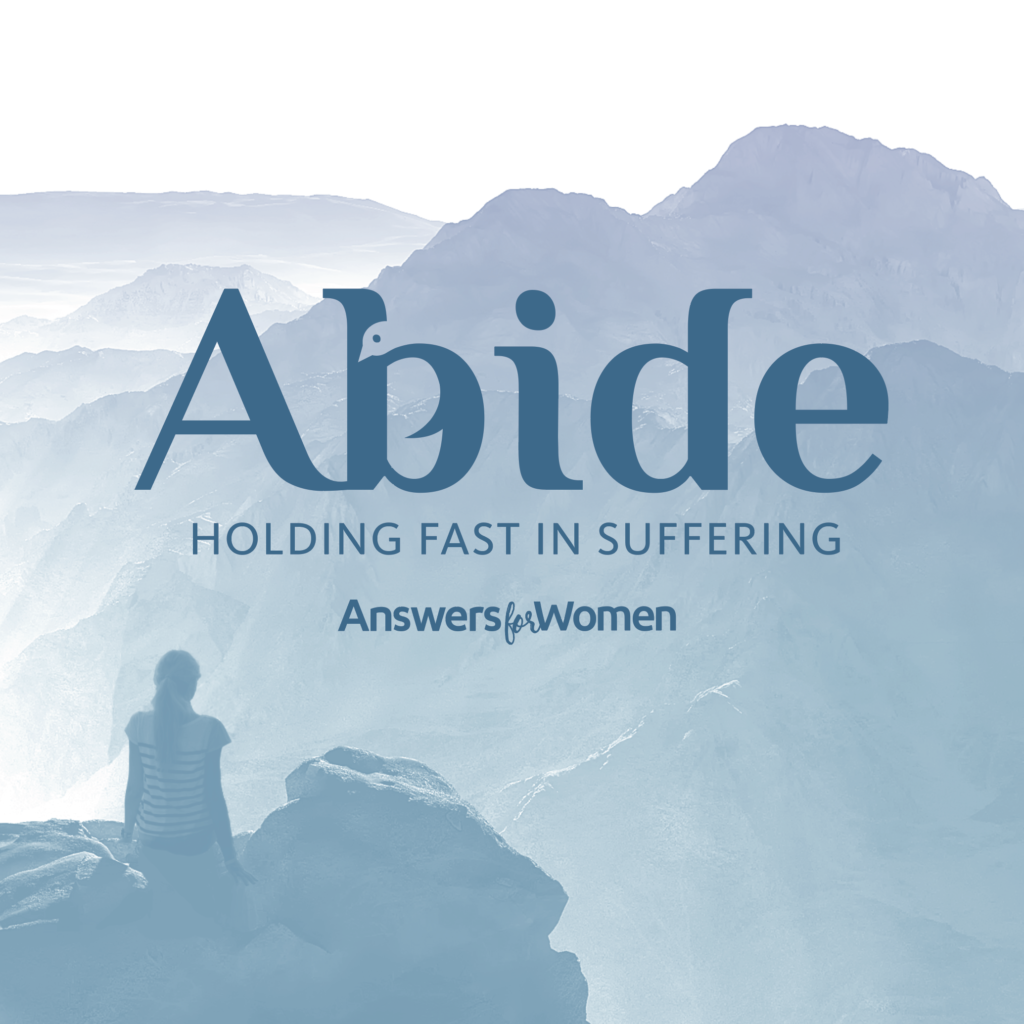 Abide Conference